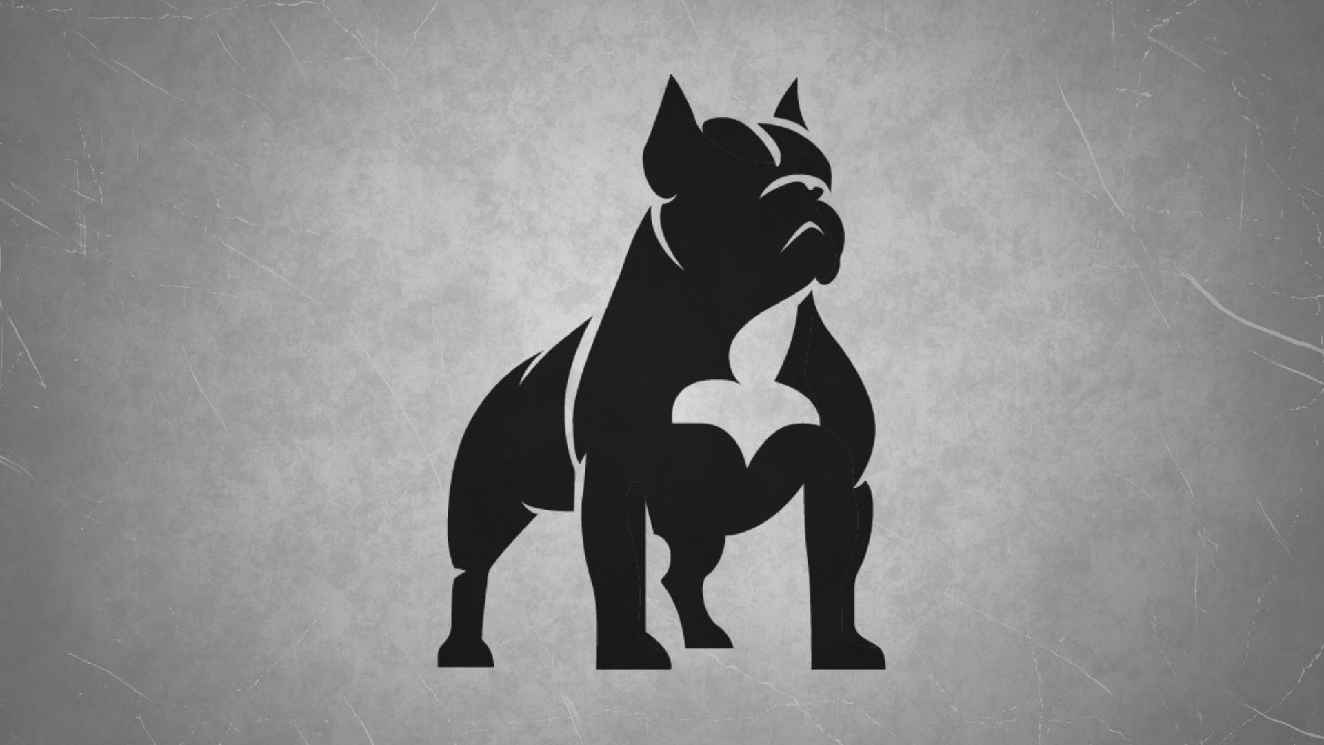 Bully Placeholder 2025 (2)